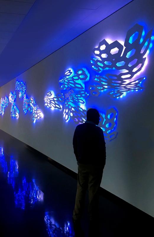 A man wearing tan khaki pants and a blue shirt, facing an art exhibition that is glowing with white and blue circles linked together.