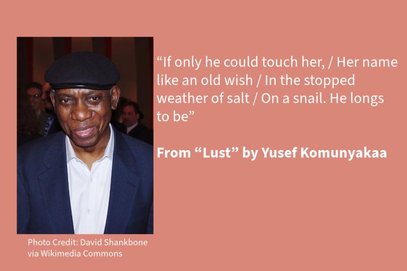 Pink graphic with white text on the right (that says: “If only he could touch her, / Her name like an old wish / In the stopped weather of salt / On a snail. He longs to be” From “Lust” by Yusef Komunyakaa, 1981 and 1988 NEA Literature Fellow) and a Black man on the left wearing a hat and blue blazer