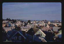 photo of variously colored rooftops in an oceanside town