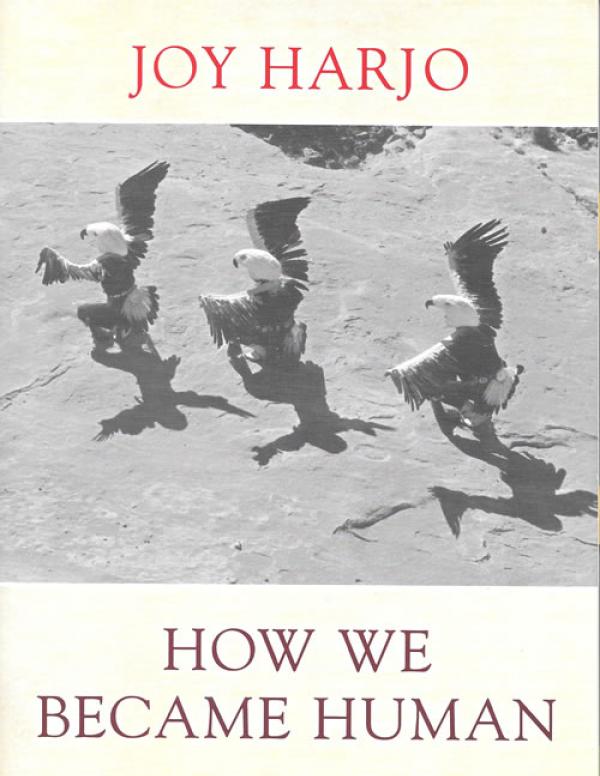 Book cover with title and author name over an aerial shot of three native american dancers in eagle costumes moving in a line from right to left
