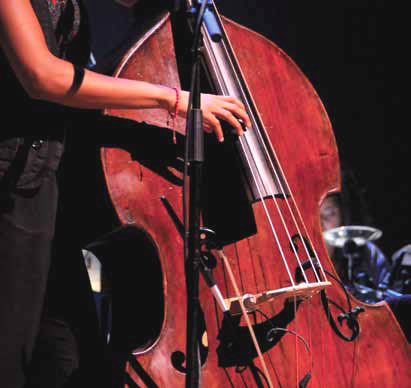 A woman&#039;s hand plucking a string bass