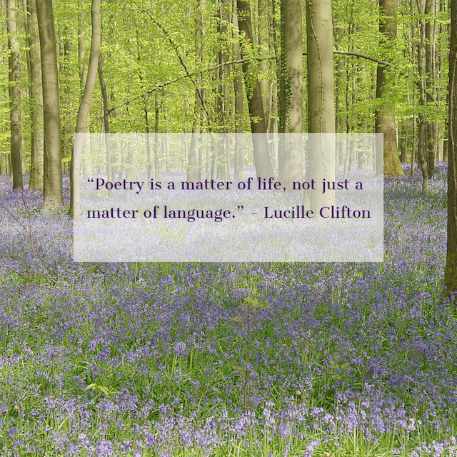 quote by Lucille Clifton