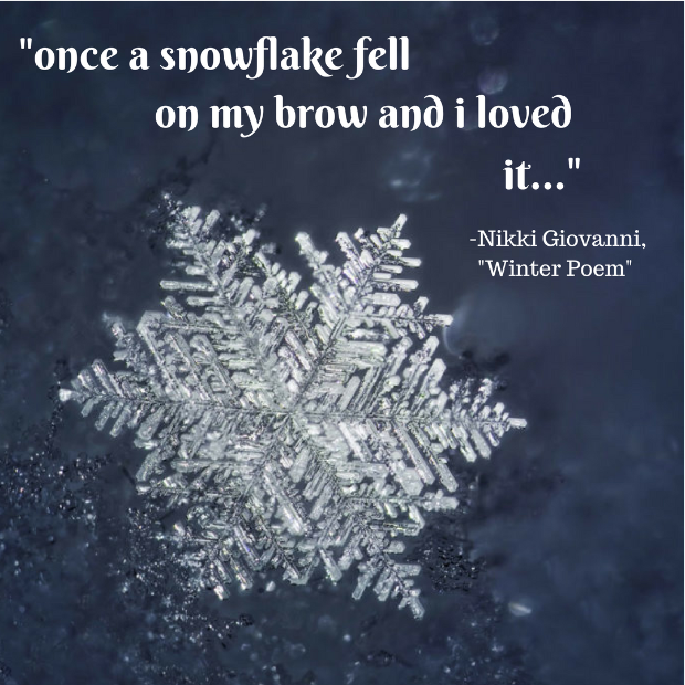 white text above a a photo of a single snowflake on a bluish background