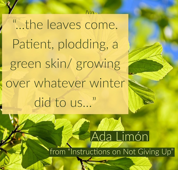 lines of poetry from Ada Limon over a photo of tree branches in leaf