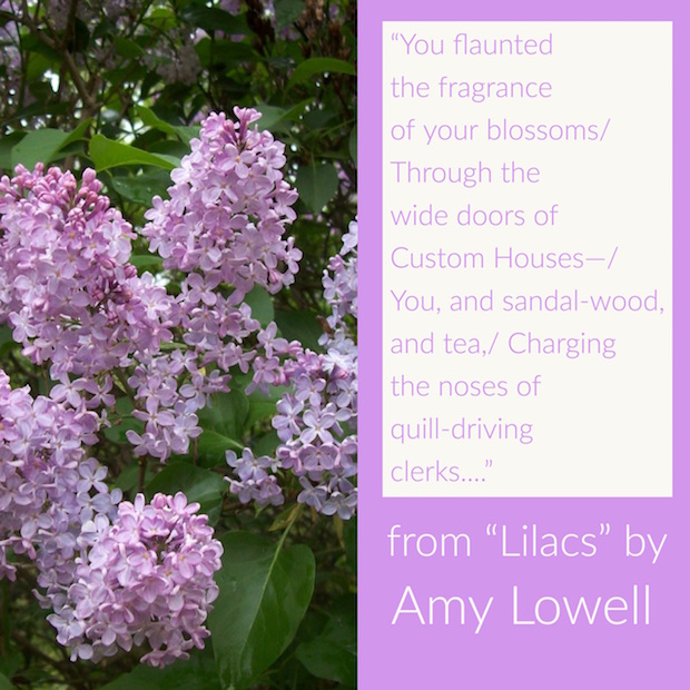 text of Amy Lowell poem with photo of lilacs