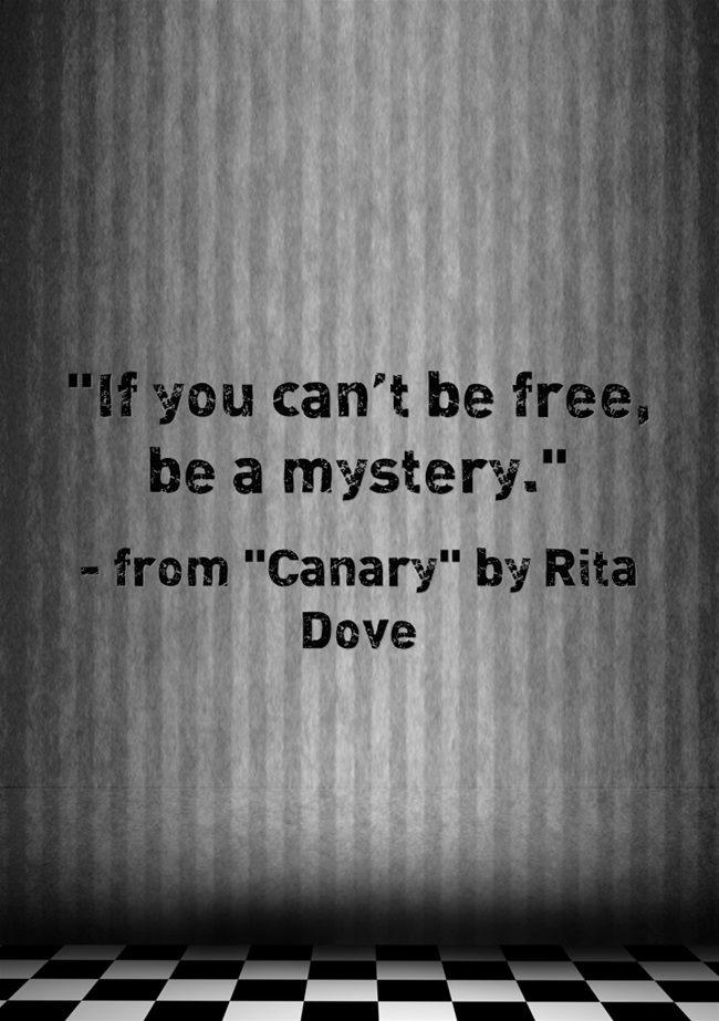 a line from Rita Dove's poem Canary