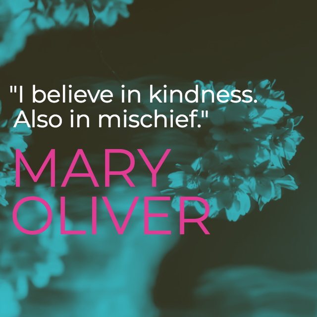 quote by Mary Oliver