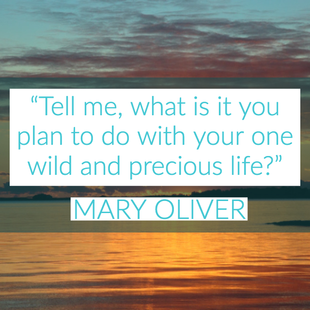 quote by Mary Oliver