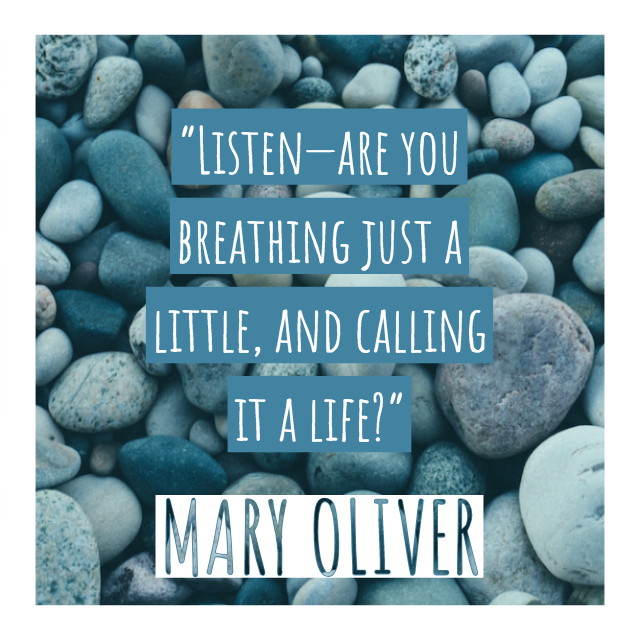 quote by Mary Oliver