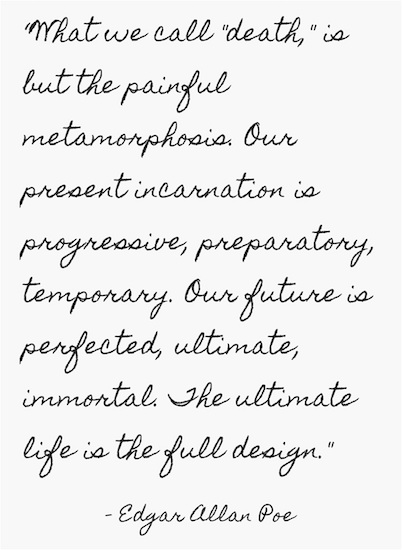 Edgar Allan Poe quote What we call death is but the painful metamorphosis Our present incarnation is progressive preparatory temporary our future is perfected ultimate immortal The ultimate life is the full design