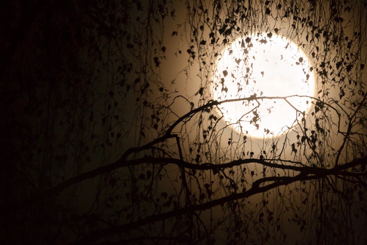 Night sky with full moon.