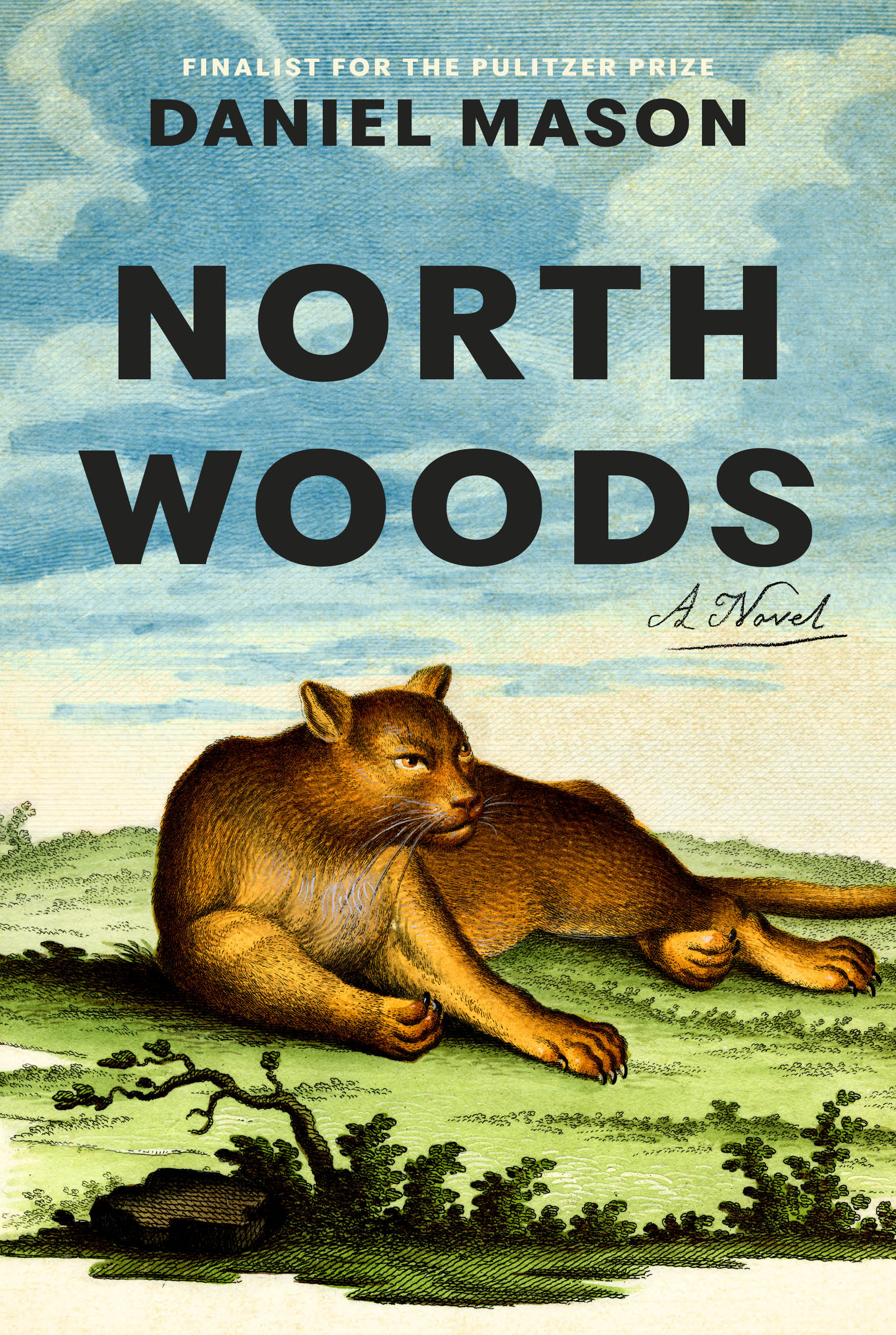 North Woods Book Cover