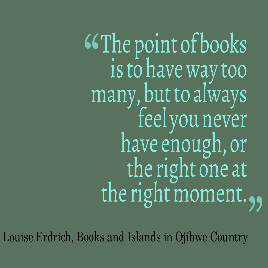 The point of books is to have way too many, but to always feel you never have enough, or the right one at the right moment. Louise Erdrich, Books and Islands in Ojibwe Country