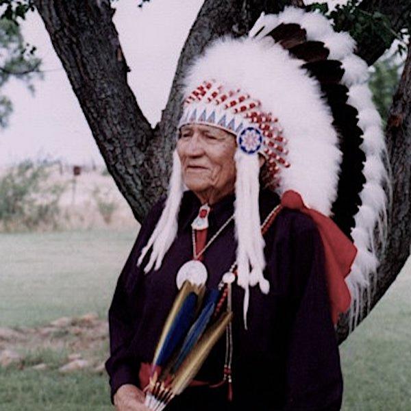 A man dressed in traditional native american dress.