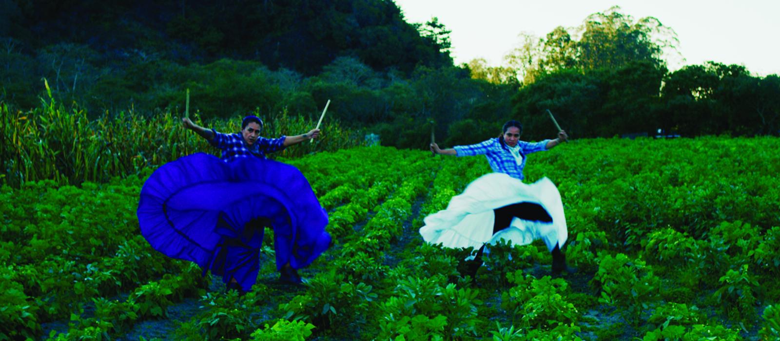 A woman in a puffy blue dress and another in a puffy white and light blue dress dancing in a vegetable field.