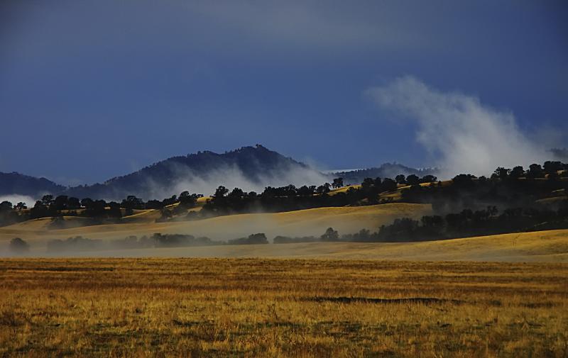 Photo of hilly farmlands. 