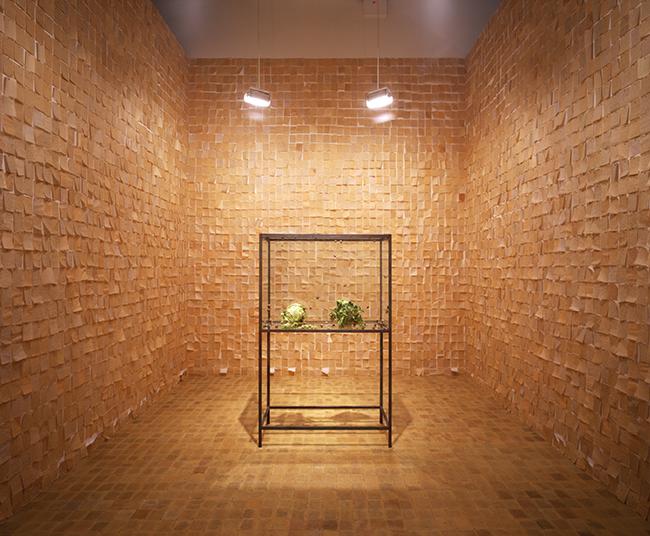 Ann Hamilton's "palimpsest" Yellow room with glass vitrine in the middle