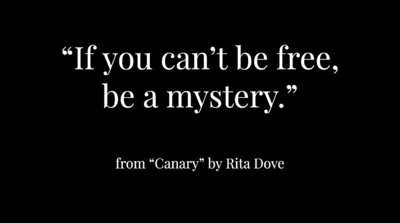 "If you can't be free/ be a mystery." from Canary by Rita Dove