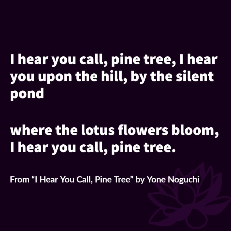 I hear you call, pine tree, I hear you upon the hill, by the silent pond where the lotus flowers bloom, I hear you call pine tree.