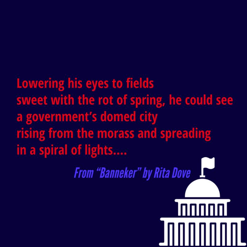 Lowering his eyes to fields sweet with the rot of spring, he could see a government’s domed city rising from the morass and spreading in a spiral of lights....
