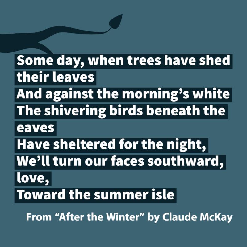 Some day, when trees have shed their leaves     And against the morning’s white The shivering birds beneath the eaves     Have sheltered for the night,