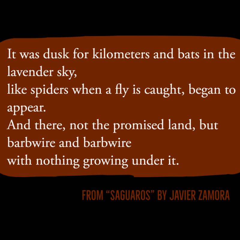 It was dusk for kilometers and bats in the lavender sky, like spiders when a fly is caught, began to appear.  And there, not the promised land, but barbwire and barbwire   with nothing growing under it.