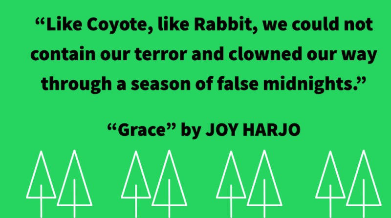 excerpt from Joy Harjo poem
