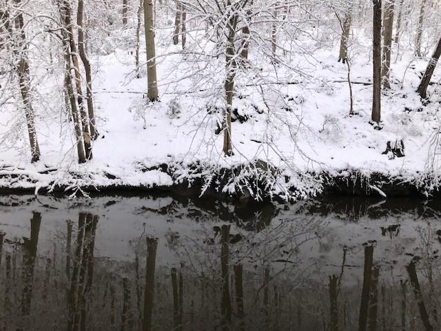 Creek in the foreground with a snow covered ground and trees behind it.