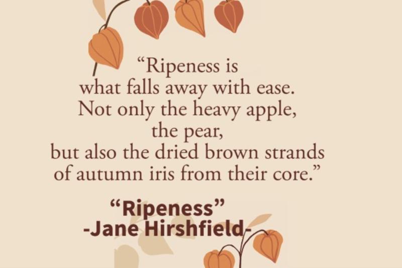"Ripeness" poem quote by Jane Hirshield. "Ripeness" poem quote by Jane Hirshield.