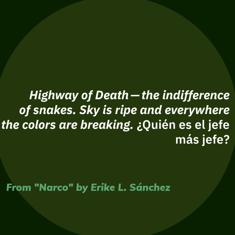 Highway of Death — the indifference of snakes. Sky is ripe and everywhere the colors are breaking. ¿Quién es el jefe más jefe?