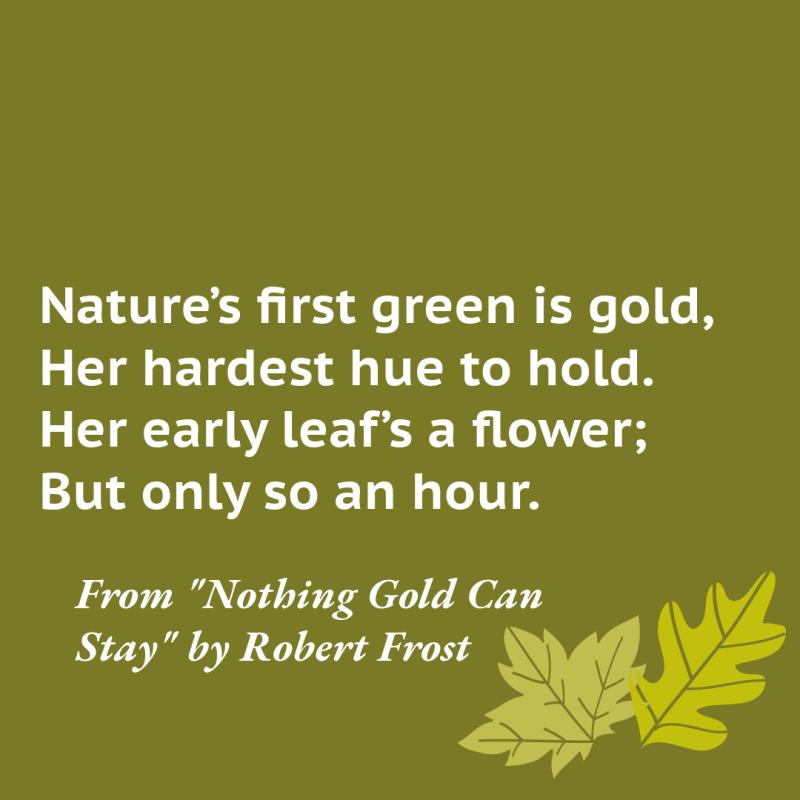 "Nature’s first green is gold,/ Her hardest hue to hold./ Her early leaf’s a flower;/ But only so an hour." From "Nothing Gold Can Stay" by Robert Frost.