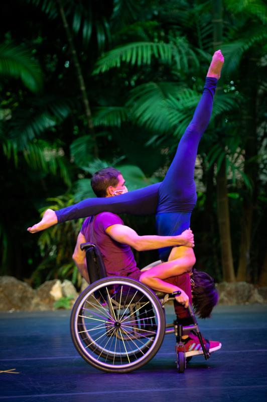 Dancer on left in wheelchair with a purple shirt/pants/shoes, supporting a dancer (on right) who is upside down and wearing a blue leotard. Dancers are on a stage with palm trees as their backdrop.