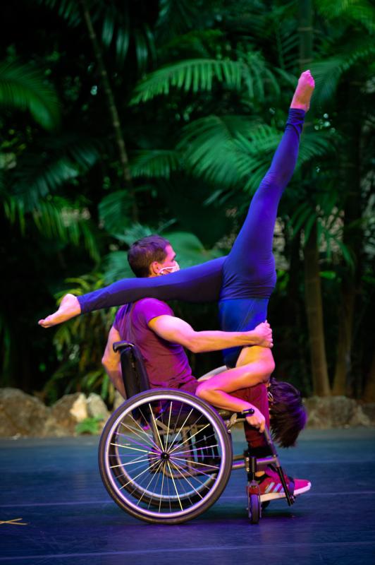 Dancer on left in wheelchair with a purple shirt/pants/shoes, supporting a dancer (on right) who is upside down and wearing a blue leotard. Dancers are on a stage with palm trees as their backdrop. Dancer on left in wheelchair with a purple shirt/pants/shoes, supporting a dancer (on right) who is upside down and wearing a blue leotard. Dancers are on a stage with palm trees as their backdrop.