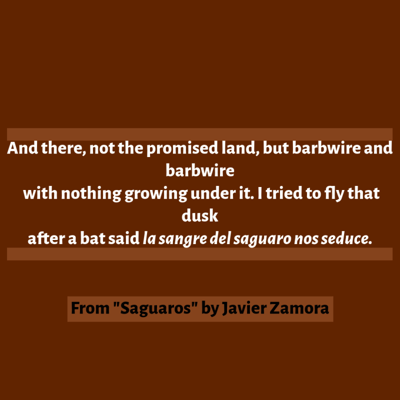 And there, not the promised land, but barbwire and barbwire with nothing growing under it. I tried to fly that dusk after a bat said la sangre del saguaro nos seduce.