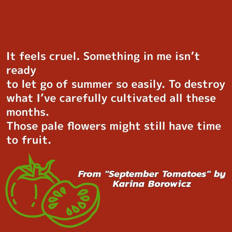 "It feels cruel. Something in me isn’t ready/ to let go of summer so easily. To destroy/ what I’ve carefully cultivated all these months./ Those pale flowers might still have time to fruit." From "September Tomatoes" by Karina Borowicz.