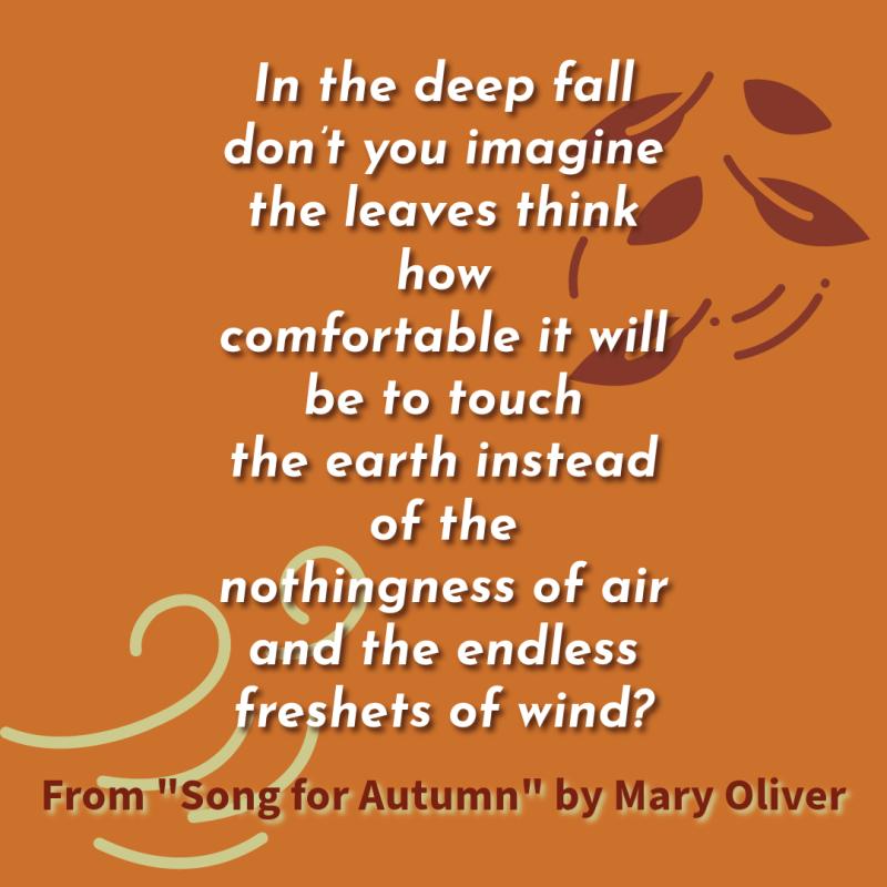 "In the deep fall/ don’t you imagine the leaves think how/ comfortable it will be to touch/ the earth instead of the/ nothingness of air and the endless/ freshets of wind?" From "Song for Autumn" by Mary Oliver.