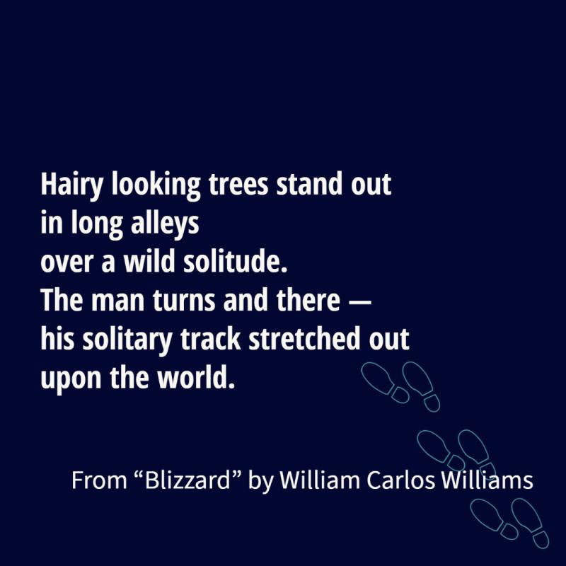Hairy looking trees stand out in long alleys over a wild solitude. The man turns and there — his solitary track stretched out upon the world.