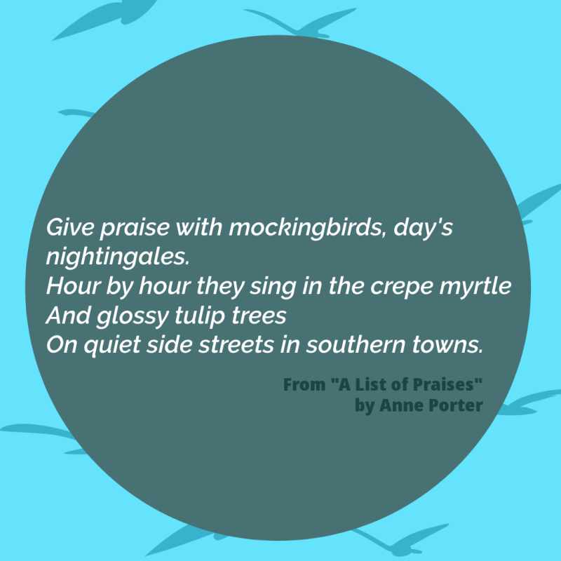"Give praise with mockingbirds, day's nightingales./ Hour by hour they sing in the crepe myrtle/ And glossy tulip trees/ On quiet side streets in southern towns." From "A List of Praises" by Anne Porter.