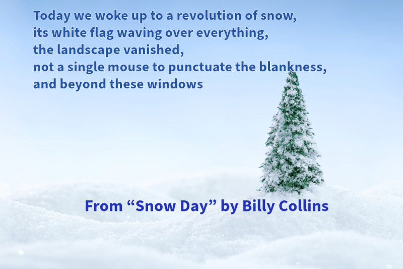 Photo with snow on the ground and a Christmas tree with text that says: "Today we woke up to a revolution of snow, its white flag waving over everything, the landscape vanished, not a single mouse to punctuate the blankness, and beyond these windows" From "Snow Day" by Billy Collins