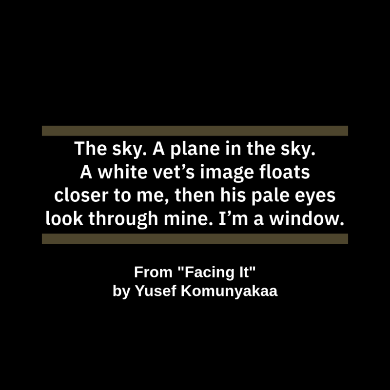 "The sky. A plane in the sky./ A white vet’s image floats/ closer to me, then his pale eyes/ look through mine. I’m a window." From "Facing It" by Yusef Komunyakaa