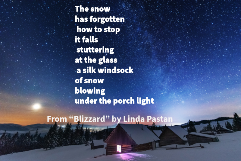 Photo of homes at night surrounded by snow and a forest with text that says: "The snow has forgotten how to stop it falls stuttering at the glass a silk windsock of snow blowing under the porch light" From "Blizzard" by Linda Pastan