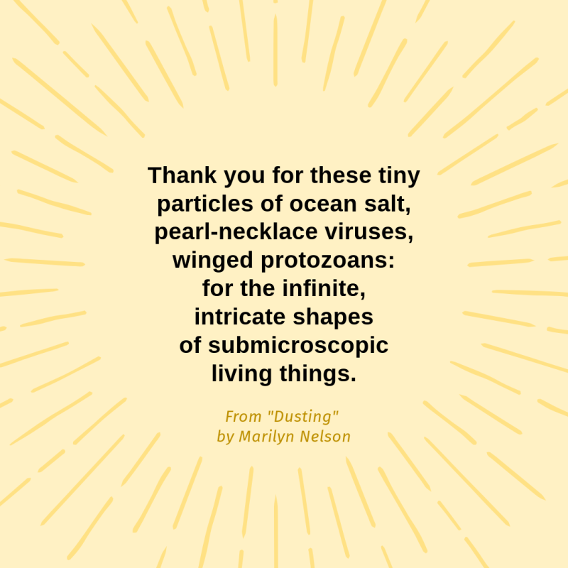 "Thank you for these tiny/ particles of ocean salt,/ pearl-necklace viruses,/ winged protozoans:/ for the infinite,/ intricate shapes/ of submicroscopic/ living things." From "Dusting" by Marilyn Nelson.