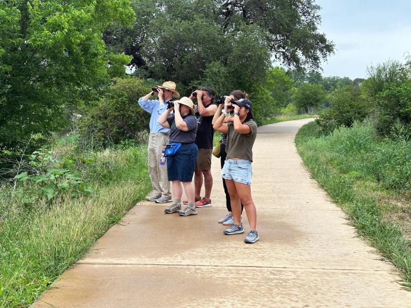 A group of people on a bird walk, facing a forest with binoculars.