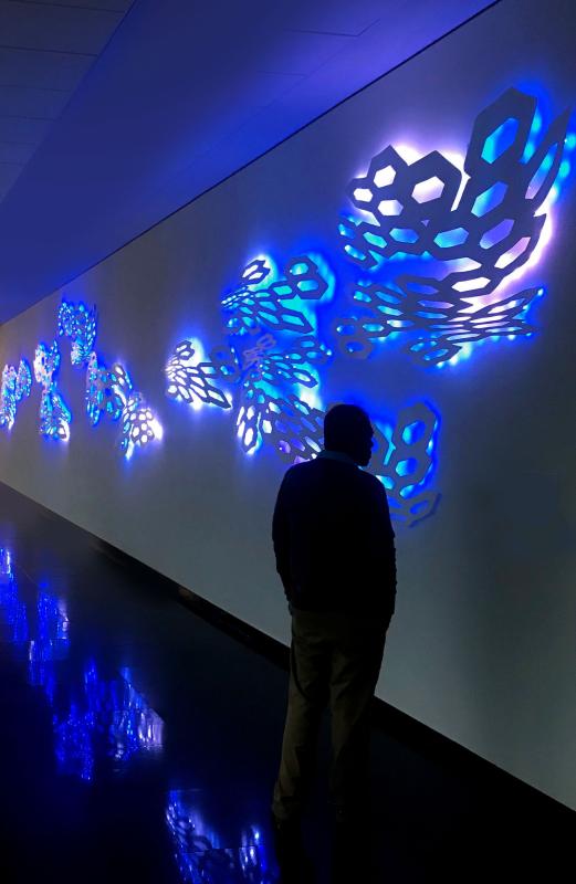 A man wearing tan khaki pants and a blue shirt, facing an art exhibition that is glowing with white and blue circles linked together. A man wearing tan khaki pants and a blue shirt, facing an art exhibition that is glowing with white and blue circles linked together.