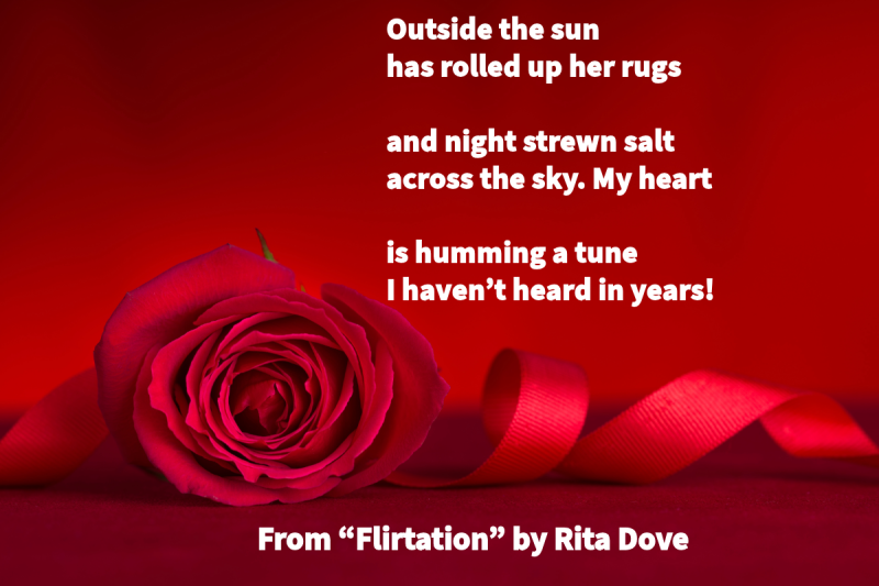 Photo of a red background with a single red rose and ribbon at the bottom with text that says: “Outside the sun / has rolled up her rugs // and night strewn salt / across the sky. My heart /// is humming a tune / I haven’t heard in years!” From “Flirtation” by Rita Dove