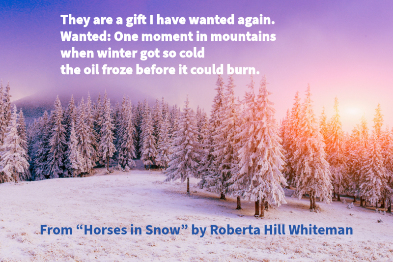 Photo of snow on the ground and various trees with the sun shining with text that says: "They are a gift I have wanted again. Wanted: One moment in mountains when winter got so cold the oil froze before it could burn." From "Horses in Snow" by Roberta Hill Whiteman