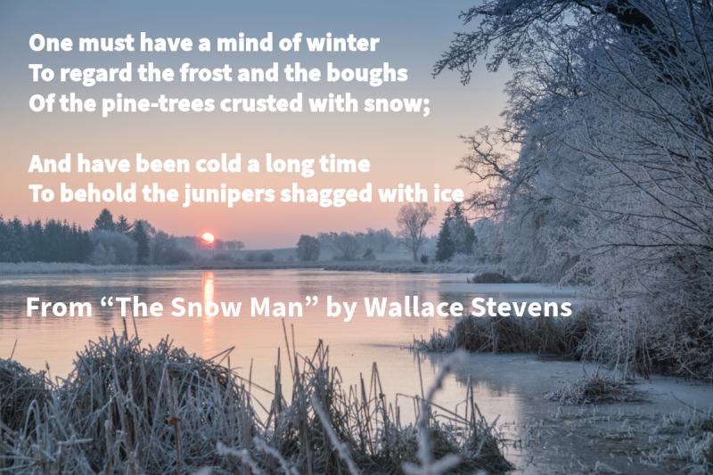 Photo of an icy lake surrounded by a wintry forest with text that says: "One must have a mind of winter To regard the frost and the boughs Of the pine-trees crusted with snow; And have been cold a long time To behold the junipers shagged with ice" From "The Snow Man" by Wallace Stevens