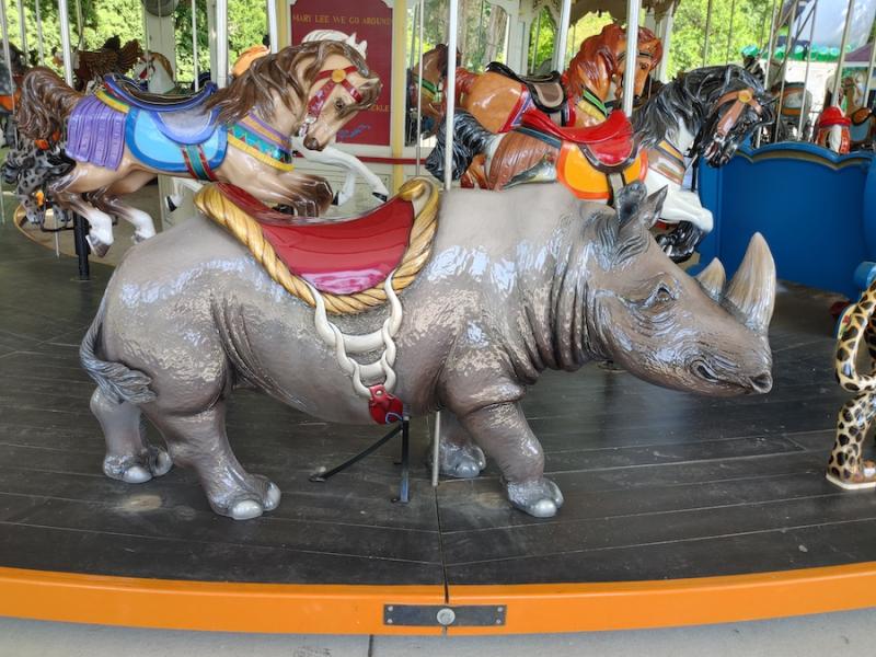 Rhinocerous.