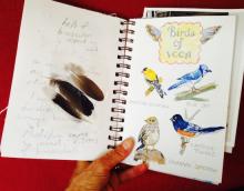 Photograph of an open journal. The left page has writing superimposed by three feathers. The right page has colorful sketches of four birds with a winged caption box that says "Birds of VCCA"