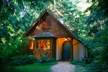 A forest cottage
